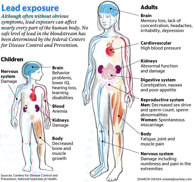 Lead exposure health effects chart